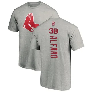 Youth Boston Red Sox Jorge Alfaro Ash Backer T-Shirt